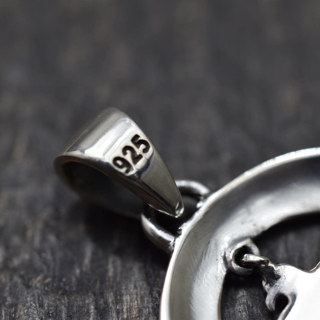 Amazon.co.jp: シルバー925 サンダーバード ターコイズチャーム